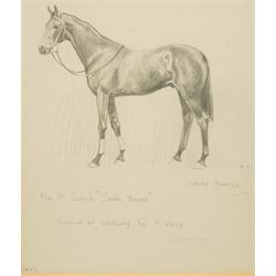 Joseph Appleyard (Yorkshire 1908-1960): Horses 'Midas' 'The Yuvaraj' and 'Senor Brume', set of three preliminary pencil sketches unsigned, variously inscribed 22cm x 17cm (3)