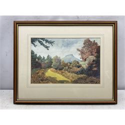 R Young (British 20th century): Roseberry Topping, watercolour signed 24cm x 36cm