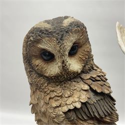Border Fine Arts figure Barn Owl in Flight B1532, boxed with certificate, together with Country Artists figure Tawny Owl with Honeysuckle CA441, tallest H31.5cm