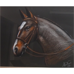  Portrait of a Horse, 20th century pastel signed and dated 1979 by Alan Ward 48cm x 58cm   