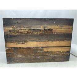 Taxidermy; cased bird diorama, to include Red-neck Pheasants (Phasianus colchicus) adult mounts hen and cock, Common Kestrel (Falco tinnunculus), Common Blackbird (Turdus merula), Starling (Sturnus vulgaris) and others,  in a naturalistic setting, encased within a single pane display case, H66cm, L97cm