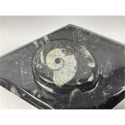 Two boxes, each in the form of a diamond with Orthoceras and Goniatite inclusions, the first with a raised Orthoceras to the lid, the second with a raised Goniatite to the lid, age: Devonian period, location: Morocco, L17cm, H5cm 