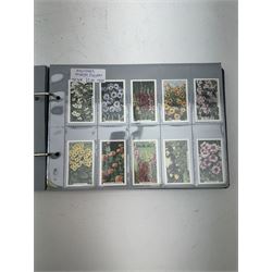 Cigarette, tea and other trade cards, including Ty-phoo, Cavanders Ltd, Rockwell Publishing, Wills, Disney Treasures, various reprint cigarette cards etc, Housed in various ring binder albums and booklets