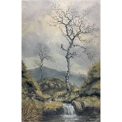 Rex N Preston (British 1948-): Upland Waterfall, oil on board signed and dated '70, 60cm x 39cm