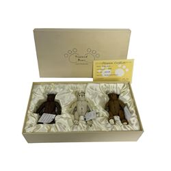 Box set of three bears by Treasured Bears