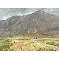 Herbert F Royle (British 1870-1958): Scottish Upland Fields, oil on board signed 30cm x 40cm