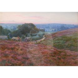 Charles Ernest Butler (British 1864-1918): Heather Covered Hillside, oil on board signed and dated '31, 24cm x 34cm