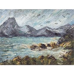 Letitia Marion Hamilton (Irish 1878-1964): Seabirds above a Rocky Coast, impasto oil on board signed with initials 34cm x 44cm