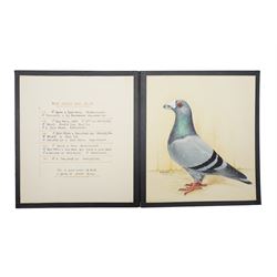 Harry Hoyle (Early 20th Century): Racing Pigeons - 'Blue Dragoon Cock 06-30' 'Blue Dragoon Hen 33-3330' and 'Blue Dragoon Cock 1918-22', set of three pencil and watercolours heightened with white, each signed and dated 1933 or 1934, accompanied with the winning history of each pigeon, each approx. 20.5cm x 18cm (3)