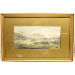 Frederick Dove Ogilvie (British 1850-1921): Expansive Landscape with Sheep, watercolour signed and dated 1904, 17cm x 34cm