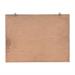 Entomology: Single glazed display of butterflies and moths, single glazed display containing approximately seventy five various specimens, including Zerynthia polyxena, Sideridis, Death Head Moth, all pinned, enclosed within a glazed entomology drawer, H31cm W41cm