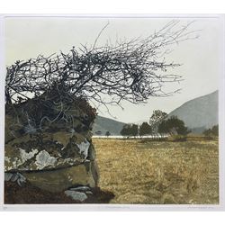 Philip Greenwood (Welsh 1943-): 'Cregennan Lake', artist's proof aquatint signed titled and numbered 5/295 in pencil 36cm x 41cm 