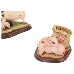 Eight Border Fine Arts pig figures, including Leave Some for Me, model A9792, Upsetting the Apple Cart, model A7935, Hog Heaven, model A1015 etc