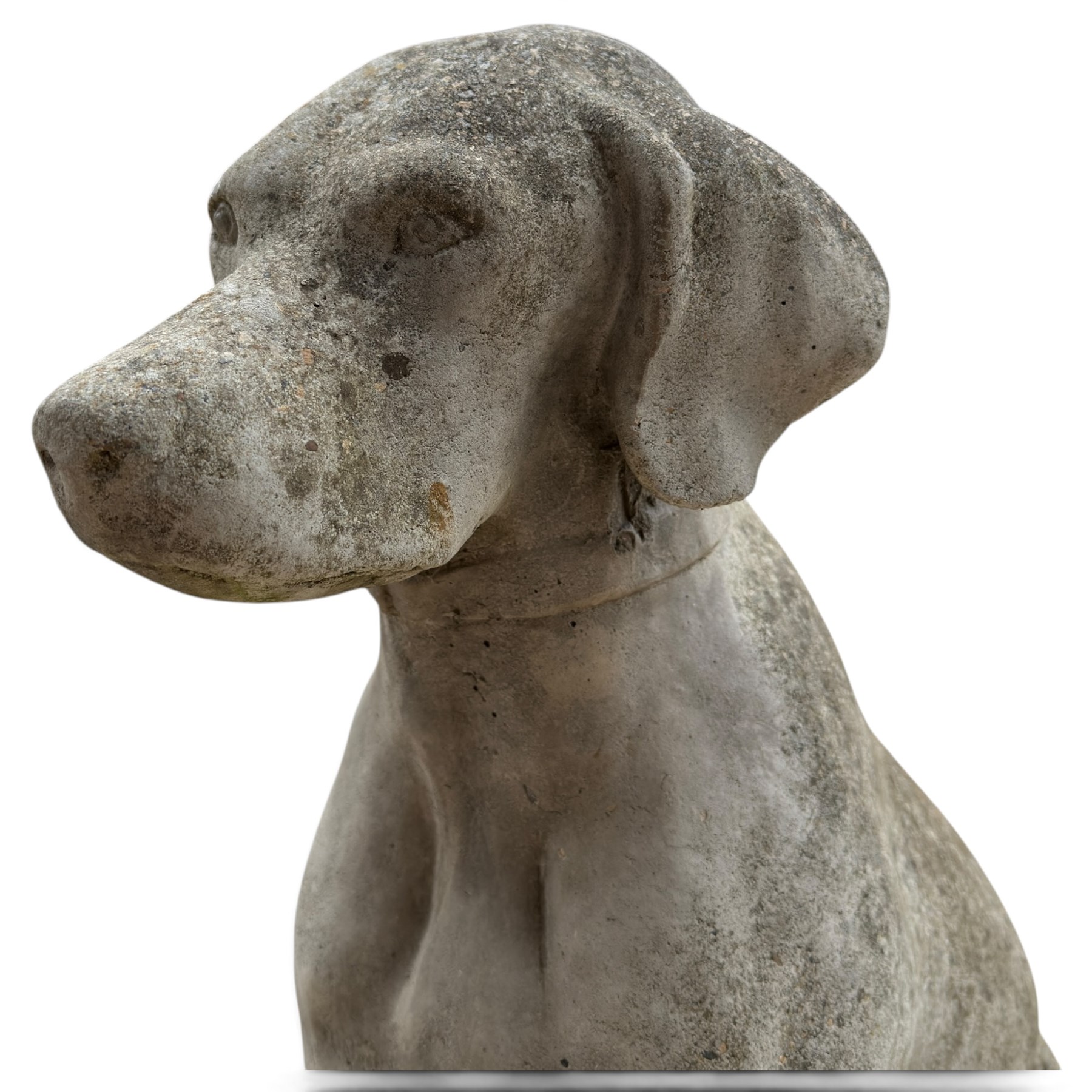 Weathered cast stone garden statue modelled as a seated pointer dog wearing a collar