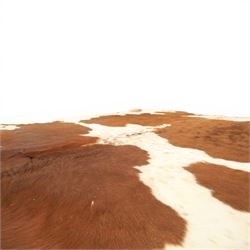 Cow hide rug or wall hanging, shaped with brown and white tones
