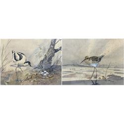 Brian Needham (British ?-2004): Wading Birds, pair watercolours signed 32cm x 43cm (2)