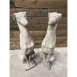 Pair of cast stone seated greyhounds, on square plinth base