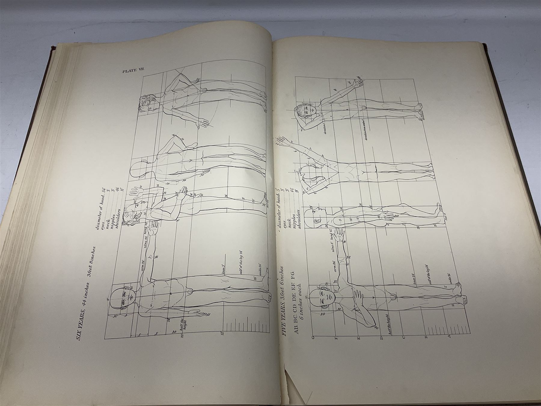 Muybridge, Eadweard; The Human Figure in Motion, London, Chapman & Hall Ld, Art, Wright, J Wright; The Sculpture and Art Students' Guide to the Proportions of the Human form, plates reproduced by John Sutcliffe, Luard L.D; Horse and Movement, London Cassell and Company ltd, with eight plates in colour and twenty-four in half-tone, together with other folious    