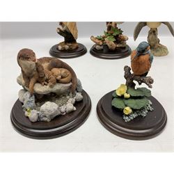 Quantity of Country Artists figures, comprising Woodland Visitors G800, Otter Family CA 552, Barn Owl CA 431, Wren CA 81, Mouse and Acorn CA784, Kingfisher - Broadway CA422, Early Days - Barn Owlets CA 720, together with two Border Fine Arts figures comprising Woodcock by James Harvey, 1985 and First Outing, Many with original boxes (9)