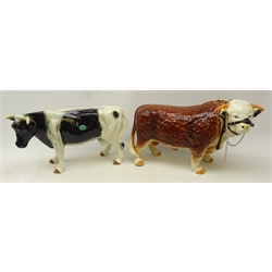  Large ceramic model of a Shetland cow and a model of a  Hereford bull, probably melba ware, H25cm, L43cm (2)  