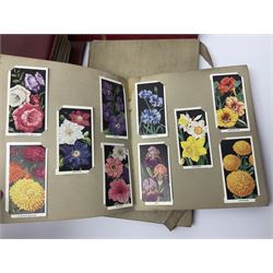 Queen Elizabeth II Great British first day covers with special postmarks and printed addresses, other covers, QEII used postage stamps, Basutoland, Southern Nigeria and other world stamps, housed in various albums, stockbooks, folders and loose, in one box