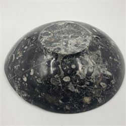 Circular dish with a raised goniatite, with orthoceras and goniatite inclusions, age: Devonian period, location: Morocco, D22cm, H5cm
