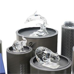 Large collection of Swarovski animal figures, comprising Koala, Polar Bear, Jaguar, mother and baby Seals, two Hedghogs, two Chicks, Fox, Elephant, Dolphin, Turtles, Whale, Rhino and others, all boxed (21)
