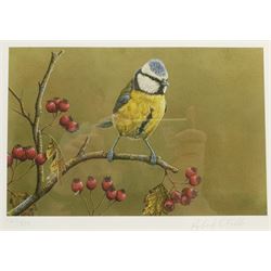 Robert E Fuller (British 1972-): Blue Tit, limited edition print signed and numbered 147/850 in pencil 18cm x 25cm