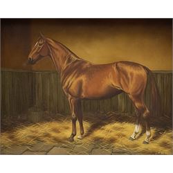 Sue Whigham (British 1957-): Bay Horse in Stable Interior, oil on canvas signed 7.5cm x 23.5cm