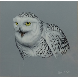  Robert E Fuller (British 1972-): 'Snowy Owl', watercolour signed and dated 1997,  32cm x 32cm  DDS - Artist's resale rights may apply to this lot    