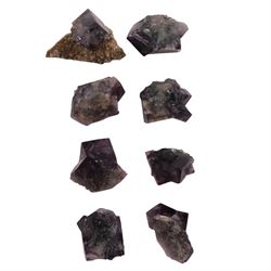 Purple fluorite Lady Annabella Mine, Purple Rain Pocket (Fairy Hole Vein), Weardale, Co. Durham. twenty four specimens  