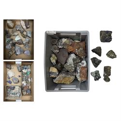 Large private collection of minerals and fossils including, Malachite, Azurite, Amethyst, ...