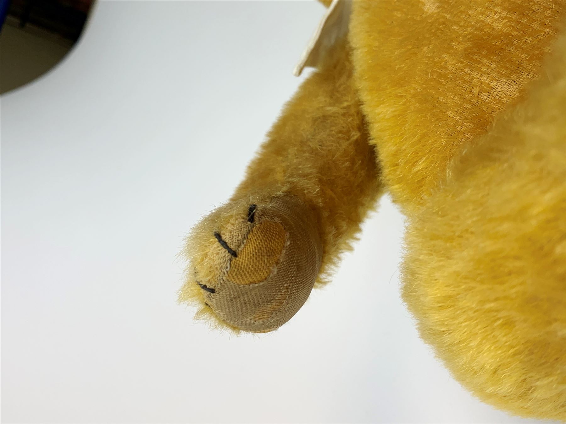 Schuco 'yes-no' teddy bear c1925 with wood wool filled short golden mohair body, linen pads with stitched claws and  tail-operated moving head with glass eyes and vertically stitched nose and mouth H18