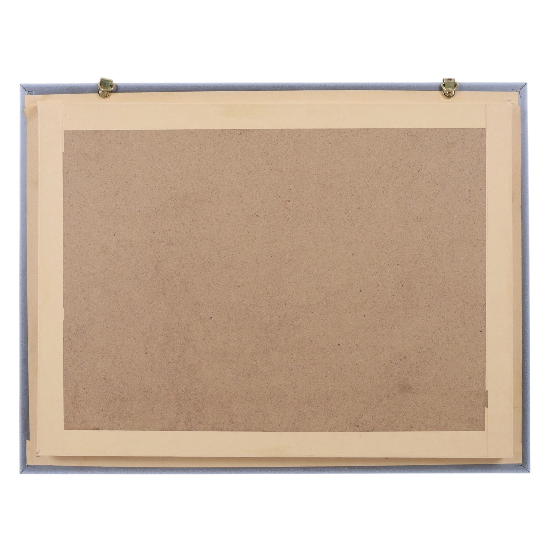 Entomology;  framed butterflies including Vidula sapor, Danidae, Cethosia Bibiis etc, H33cm, L43cm 