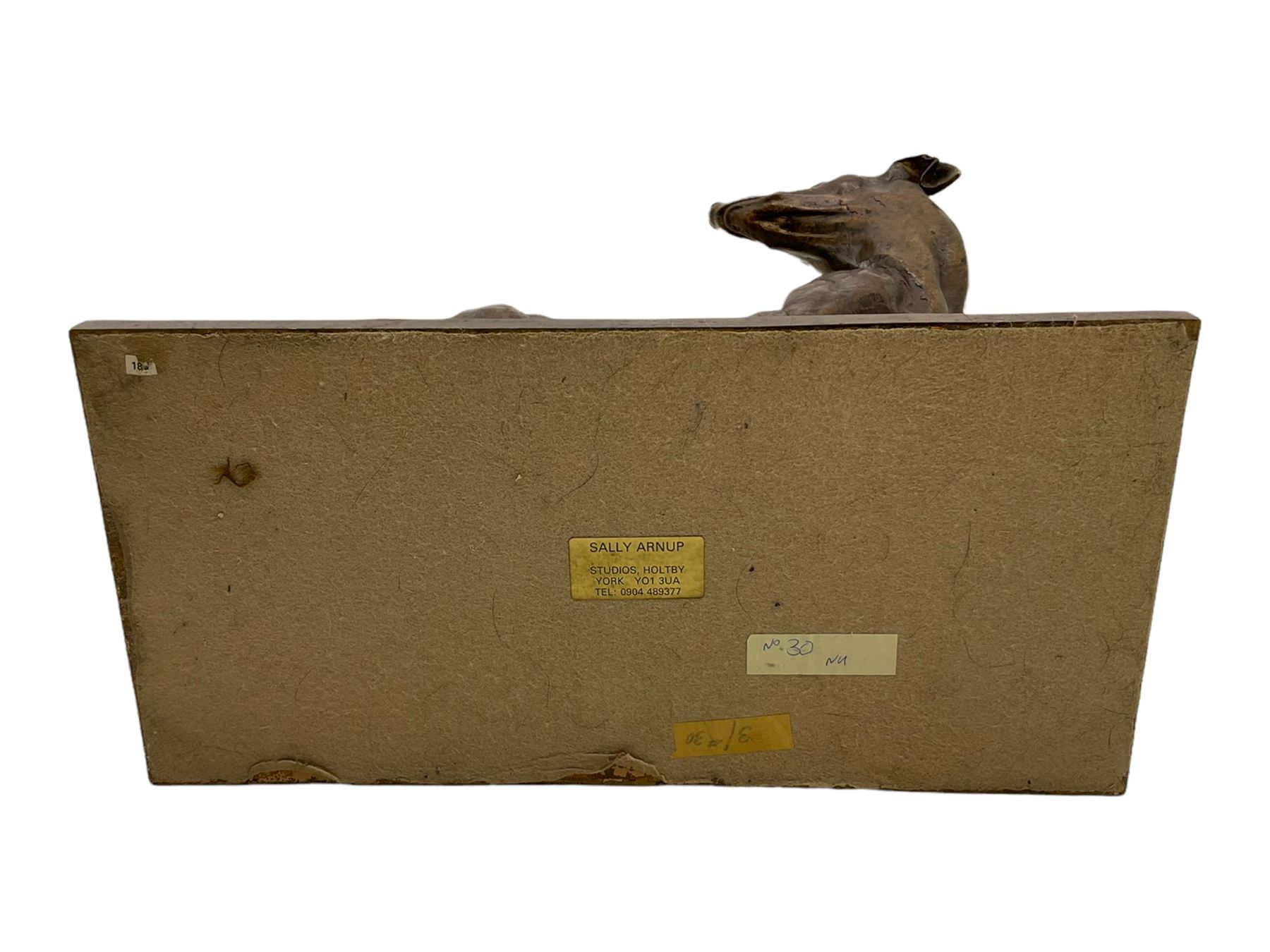 Sally Arnup FRBS, ARCA (1930-2015): Whippet Standing, bronze, signed and numbered VIII/X, upon short rectangular plinth, overall H63cm L49cm W23.5cm 


