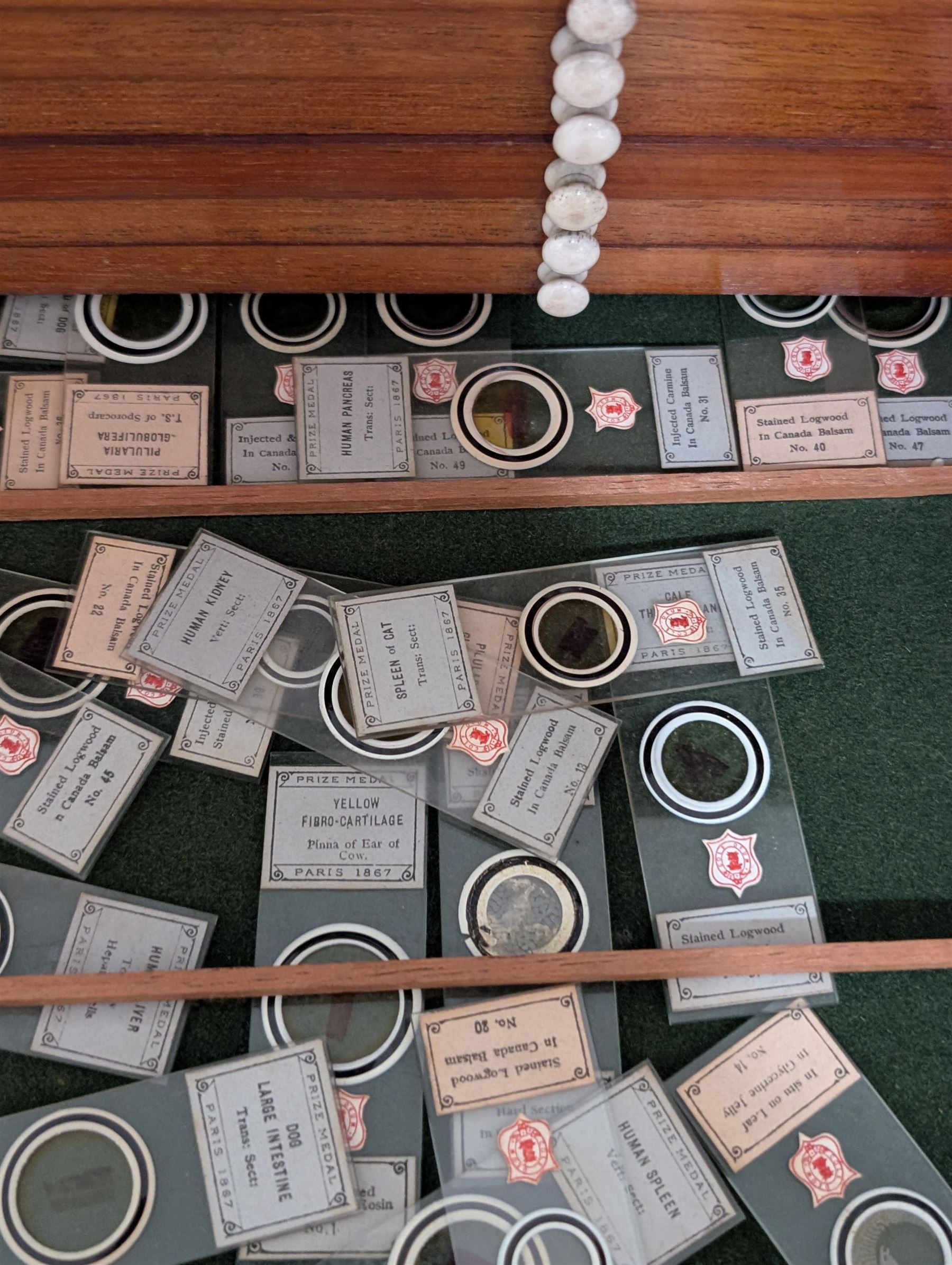 Victorian collector's specimen cabinet, containing a number of prepared microscope slides including miniature photographs, animal and human pathological, physiological and histological specimens and botanical specimens, mostly annotated in ink, the cabinet with glazed door, the drawers with bone handles and lined with green felt, owned by Dr Arthur Bristow, together with a picture of the doctor, cabinet H43cm