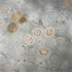 Two graduating fossilised coral dish in the form of hearts, largest D16cm