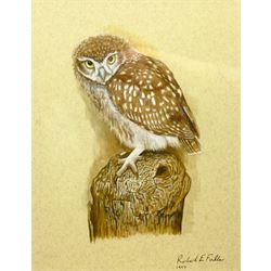 Robert E Fuller (British 1972-): Owl Perched on a Tree Trunk, gouache signed and dated 1997, 27cm x 21cm