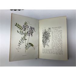 Hulme, F. Edward; 'Familiar Wild Flowers' with coloured plates, five volumes, together with Hulme, F. Edward; 'Familiar Garden Flowers' described by Shirley Hibberd with coloured plates, five volumes, each with coloured title labels 