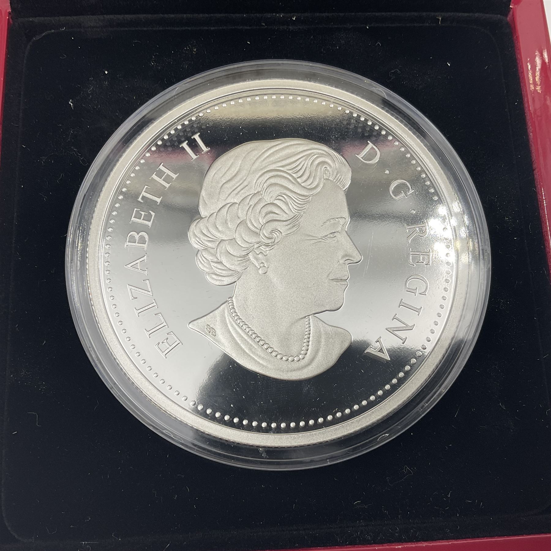 Royal Canadian Mint 2014 'Maple Leaves' fine silver fifty dollar coin, cased with certificate