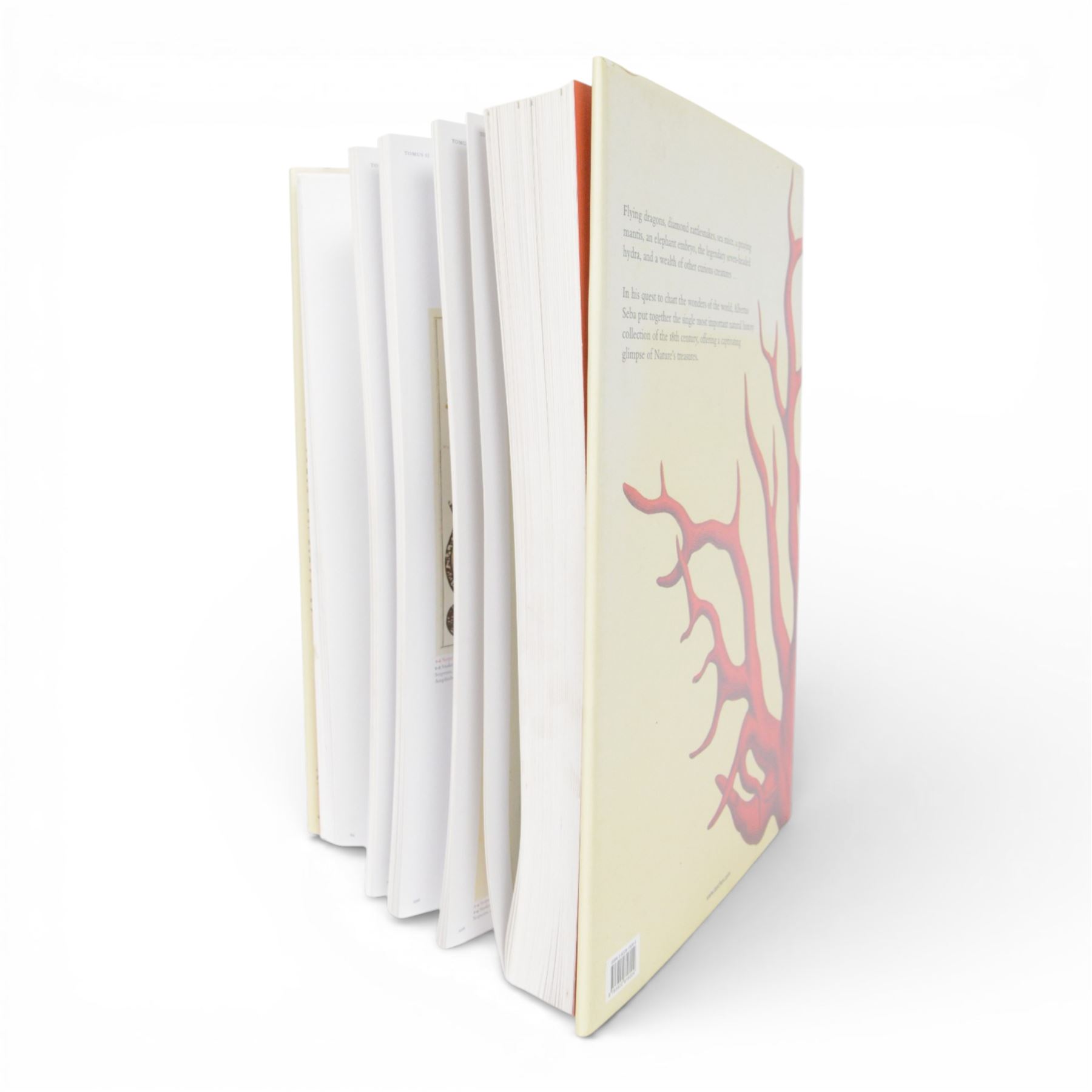 Albertus Seba; Cabinet of Natural Curiosities. The Complete Plates in Colour 1734-1765 Based on the copy in the Koninklijke biblitheek, The Hague, Published by Taschen, 