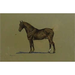 G. Falkner (British early 20th century): Portrait of a Liver Chestnut Stallion, watercolour signed,  28cm x 43cm
Provenance: with John Linn & Sons Scarborough, label verso