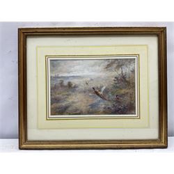 James Stinton (British 1870-1961): Pheasants Breaking Cover, watercolour signed 17cm x 26cm