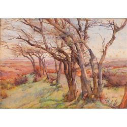 Mary McNicoll Wroe (British 1861-1955): 'Wind Swept Trees', watercolour signed, titled on ...