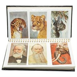 Postcard album of railway cards, another of aeroplanes and ships and an album of Stengal and other German cards