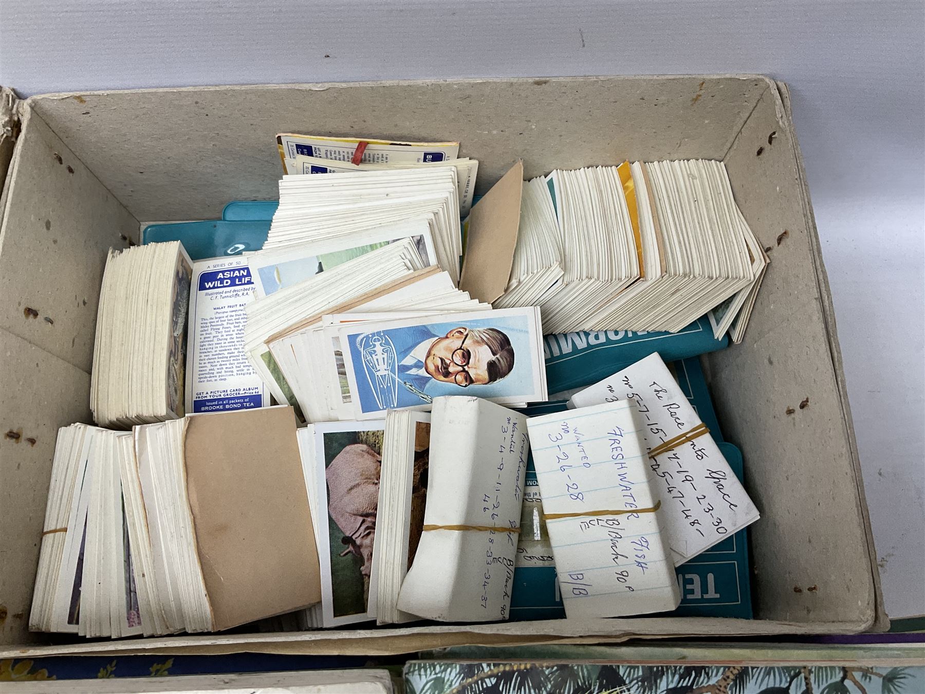 Over eighty trade card albums by Brooke Bond, Lyons, PG Tips, Hornimans, Ty-Phoo etc including some duplicates; and large quantity of loose trade cards