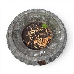 Pair of quality antique weathered three-piece composite stone garden urns, the flared rim moulded with repeating acanthus leaves, over a deep-relief campana body decorated with fruiting grapevines and ivy leaves, the gadrooned underbelly over a turned socle and square base