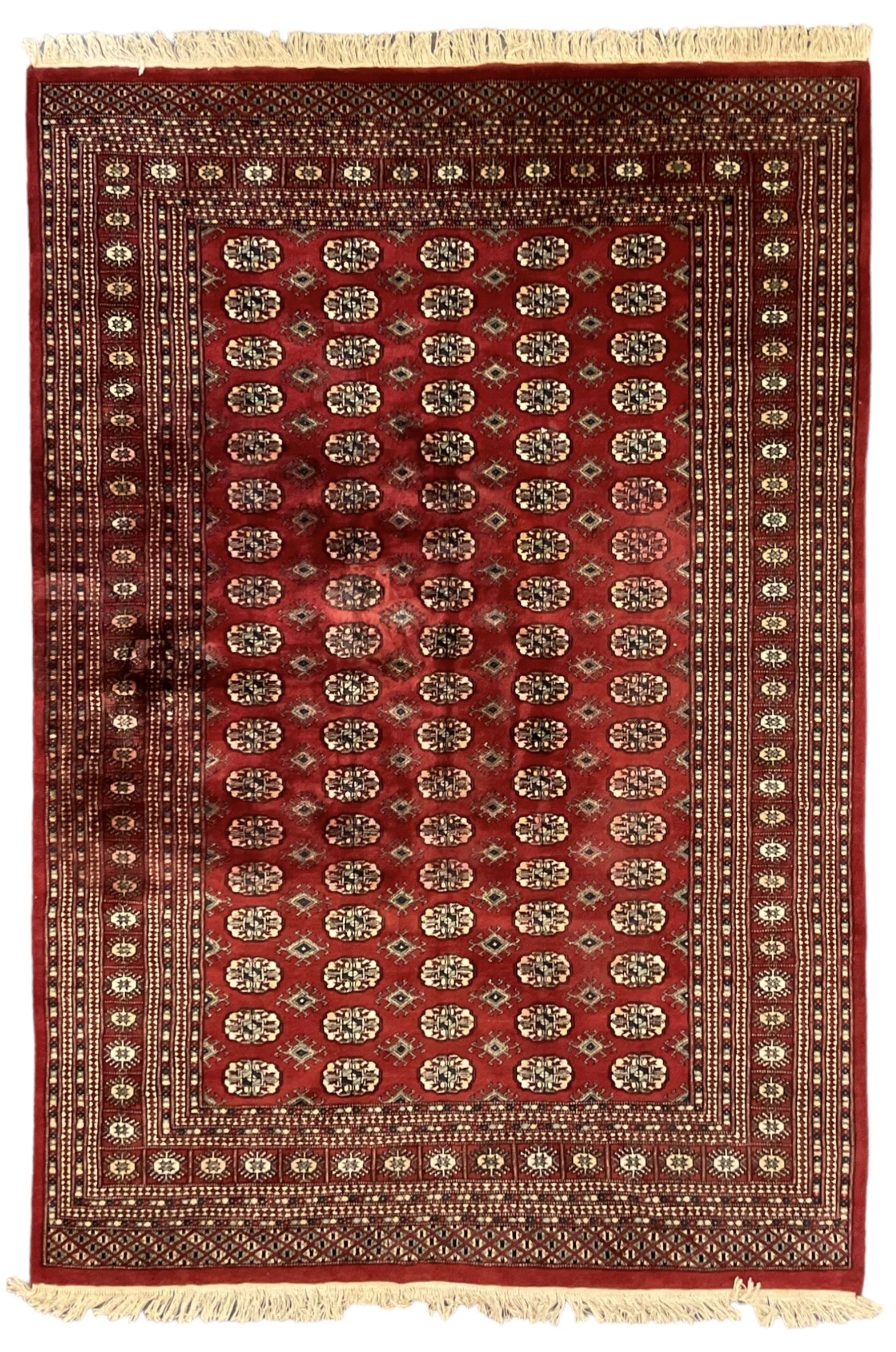 Pakistani Bokhara red ground rug, the field decorated with repeating Gul motifs and lozenges, the multi-band border with stylised plant motifs with dark indigo outlines