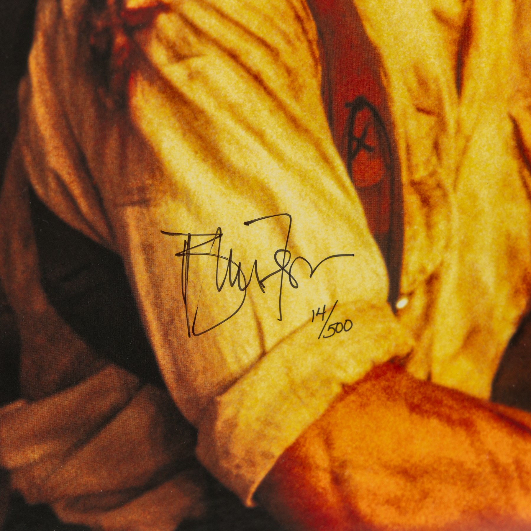 Limited Edition Dynamic Forces signed print of Brendan Fraser in the Mummy, signed by the actor in black ink to the centre, with certificate of authenticity, framed, H59cm
