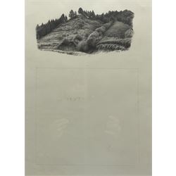 Raymond C Booth (British 1929-2015): 'Hilly Habitat of Lillium Auratum', pencil signed 17cm x 32cm (excluding wider border)
Provenance: with The Fine Art Society Plc., London, exh. 'Japonica Magnifica' March 1997, No.49, label verso